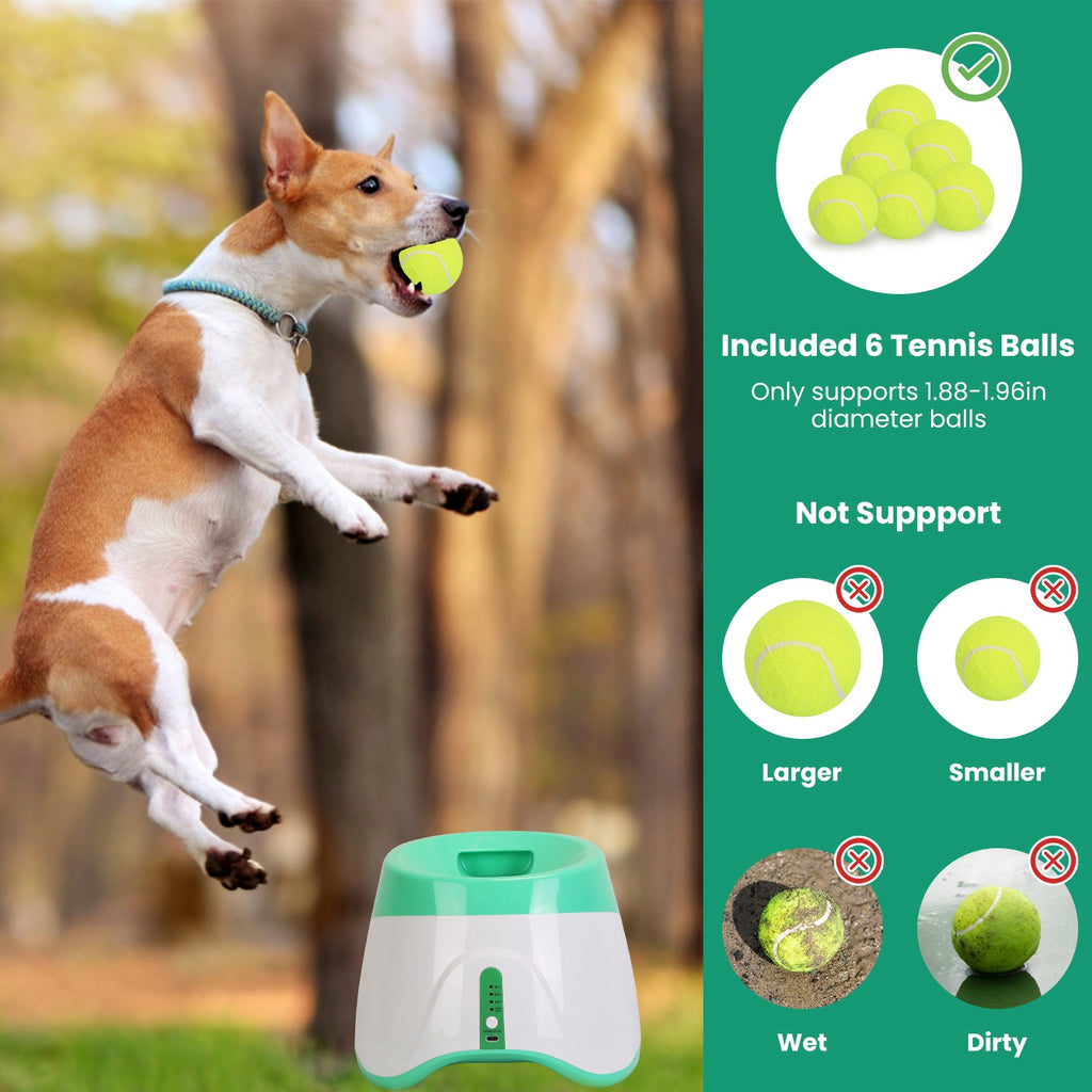 Automatic Dog Ball Launcher, photo 8