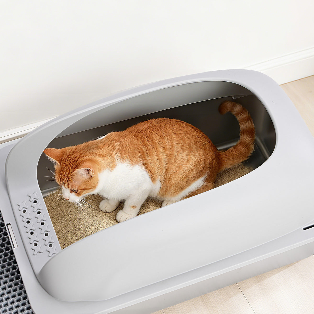Stainless Steel Cat Litter Box with Lid photo 2