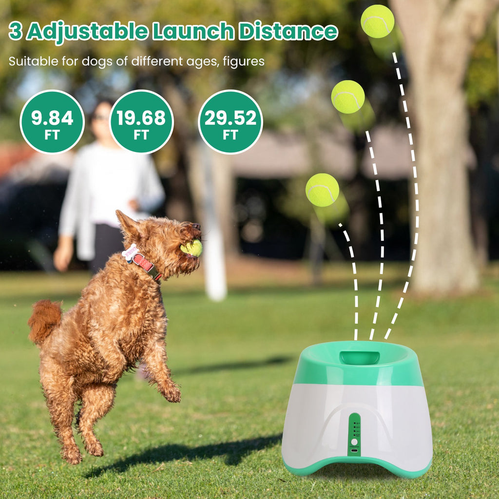 Automatic Dog Ball Launcher, photo 3