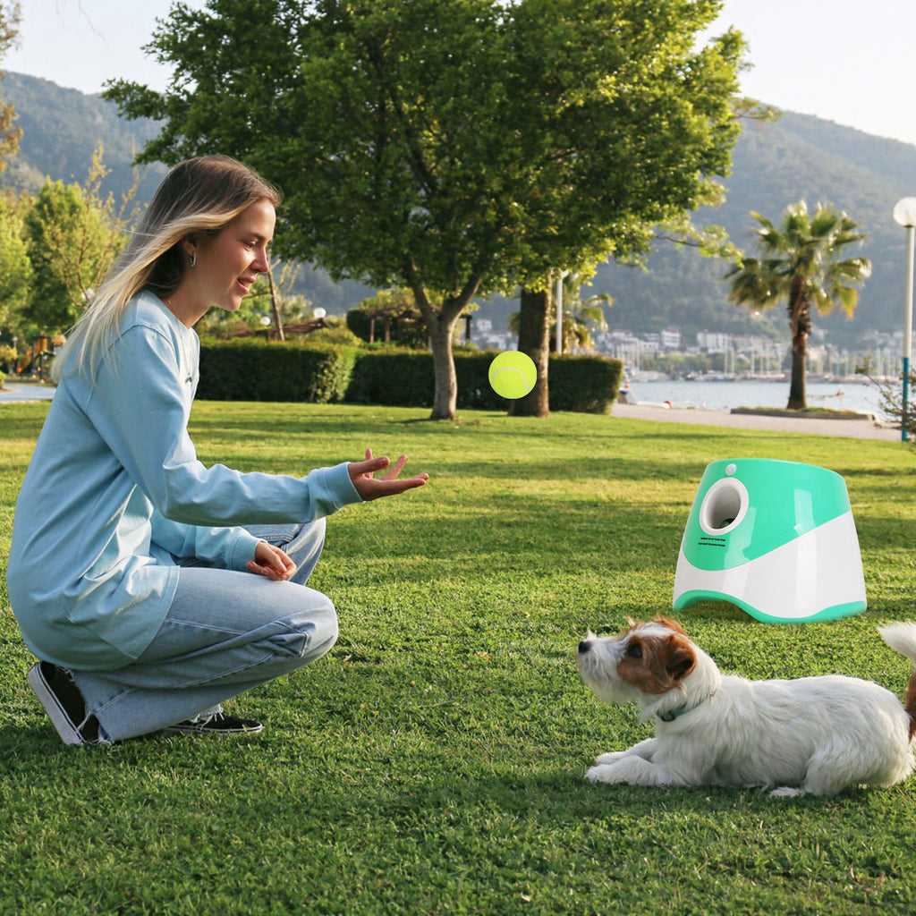 Automatic Dog Ball Launcher, photo 2