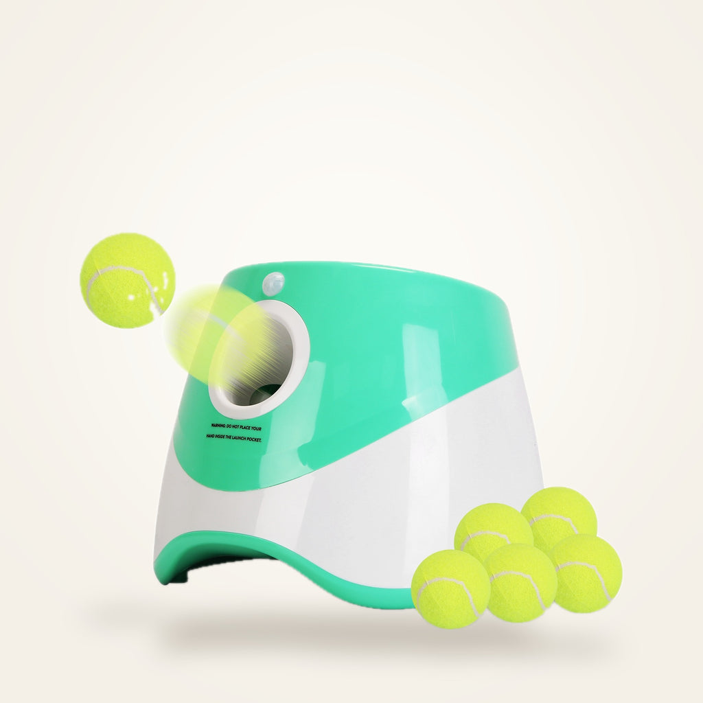 Automatic dog ball launcher with 6 tennis balls, supplier photo on our studio background