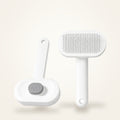 Self-cleaning slicker brush, supplier photo on our studio background